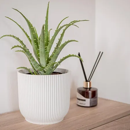 Balcone Sul Centro Storico Ac Wi-fi Parcheggio